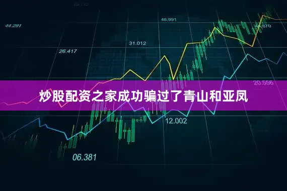 炒股配资之家成功骗过了青山和亚凤
