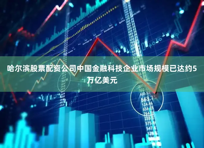 哈尔滨股票配资公司中国金融科技企业市场规模已达约5万亿美元