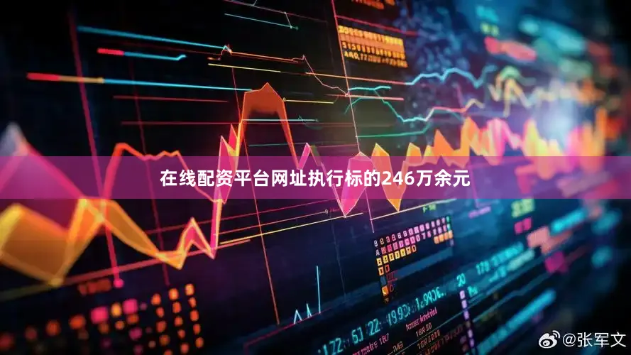 在线配资平台网址执行标的246万余元